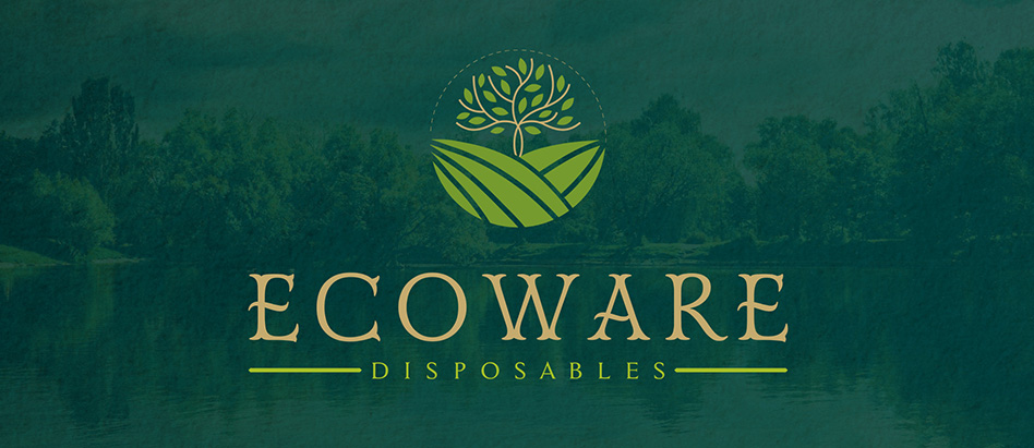 website designing company in Miami